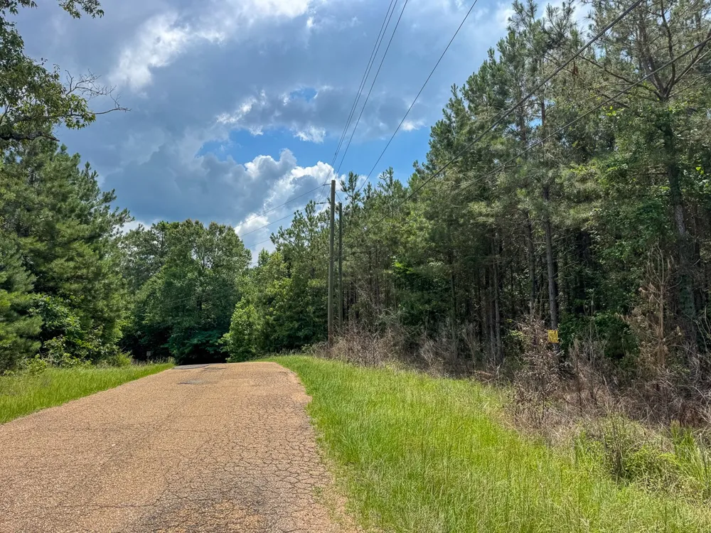Blade Loop Road Jena, LA 71342