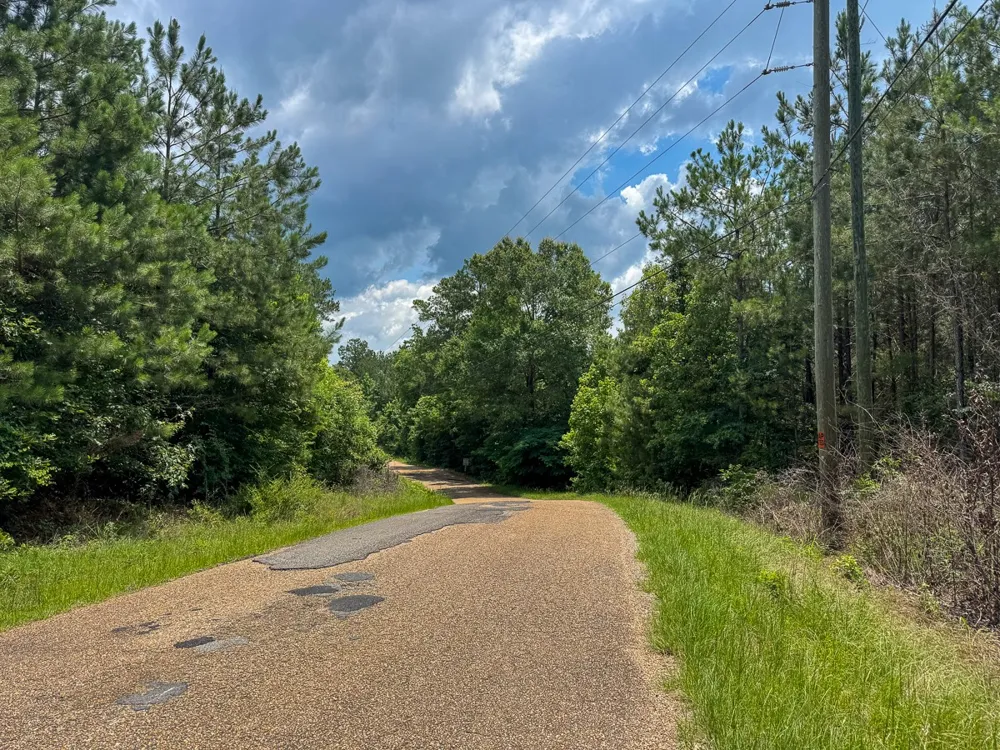 Blade Loop Road Jena, LA 71342