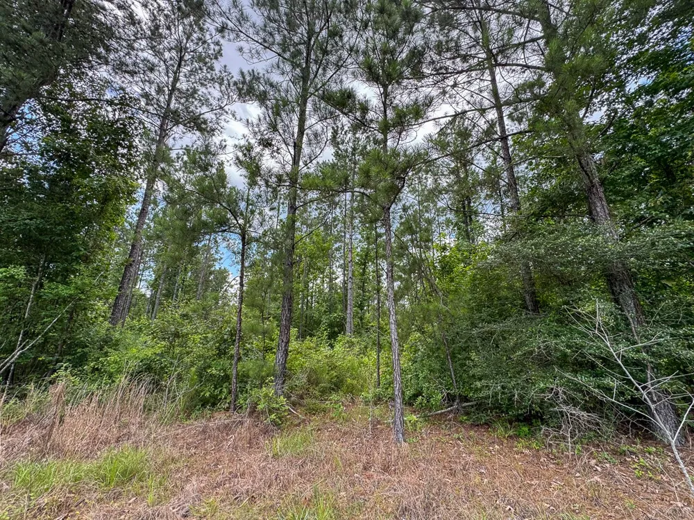 Blade Loop Road Jena, LA 71342