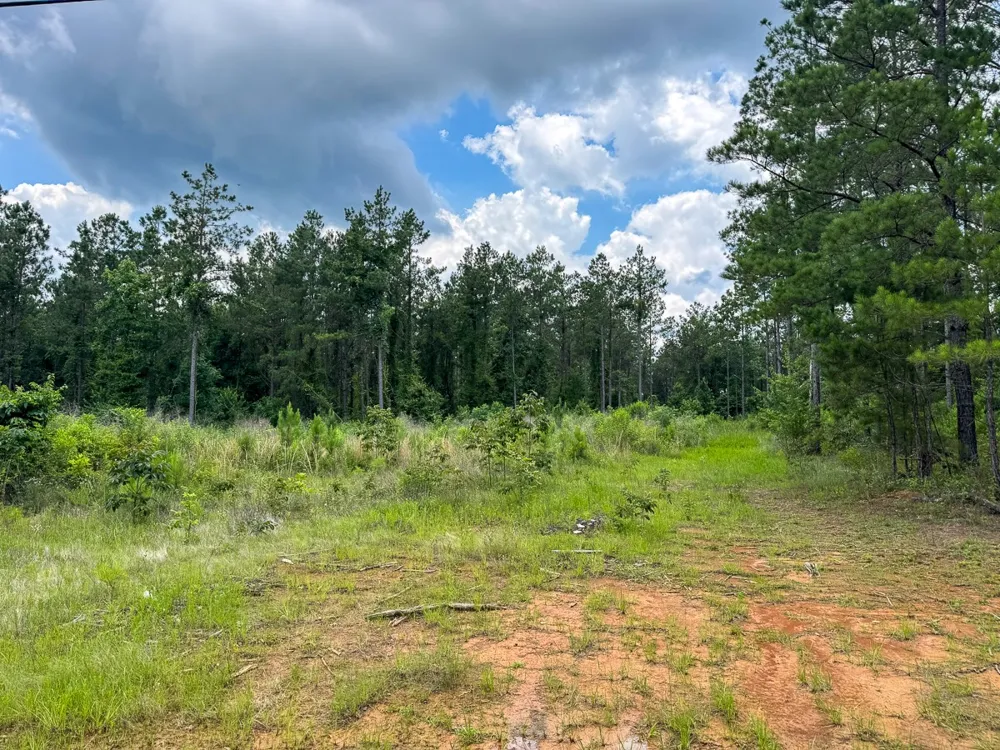 Blade Loop Road Jena, LA 71342