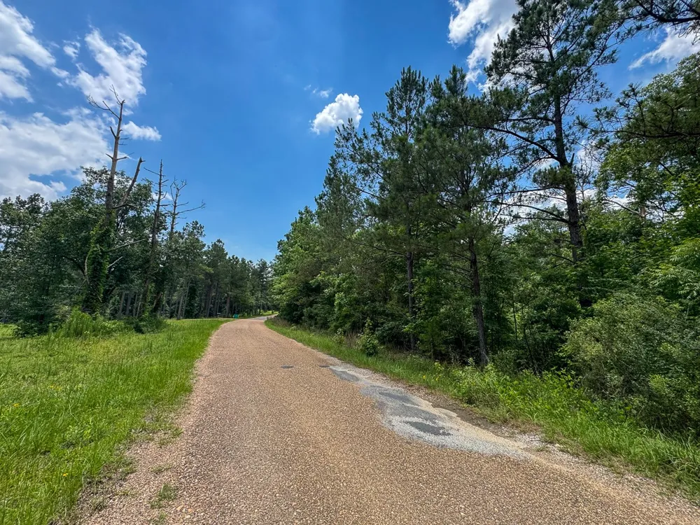 Blade Loop Road Jena, LA 71342