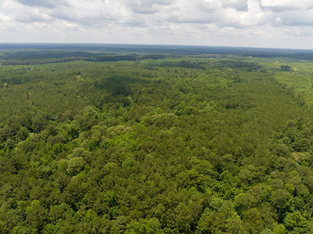 Blade Loop Road Jena, LA 71342