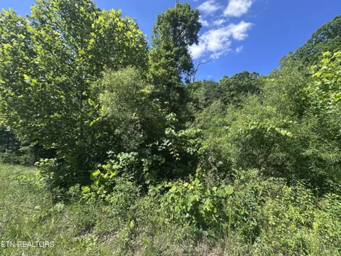 1020 Tomahawk Rd