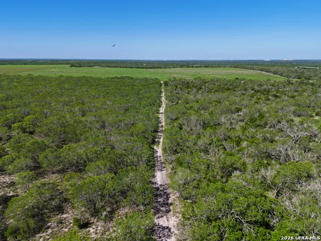 2349 CR 416 Falls City, TX 78113