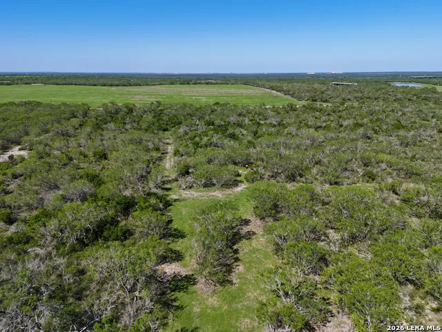2349 CR 416 Falls City, TX 78113
