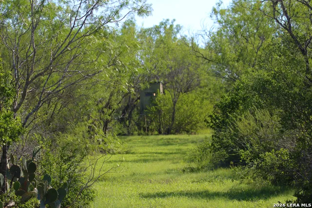 2349 CR 416 Falls City, TX 78113