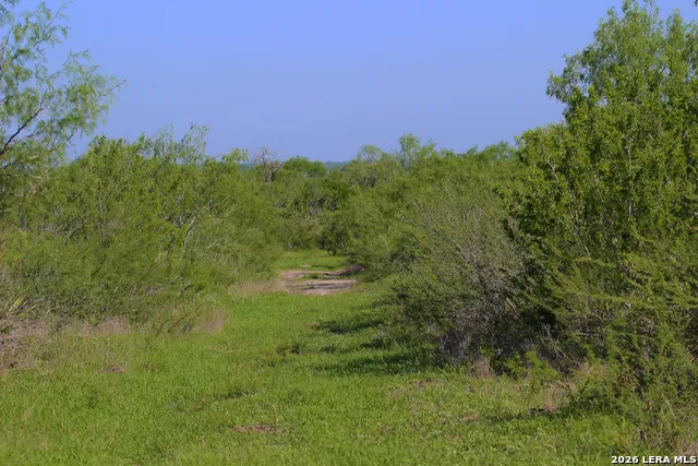2349 CR 416 Falls City, TX 78113