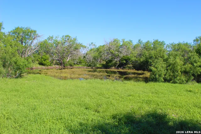 2349 CR 416 Falls City, TX 78113