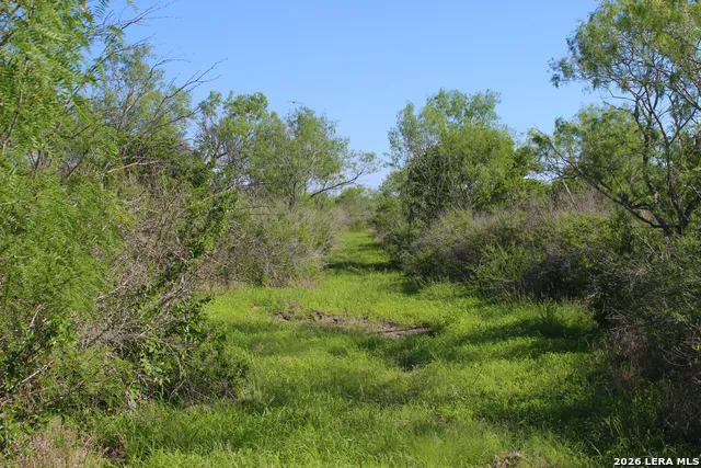 2349 CR 416 Falls City, TX 78113