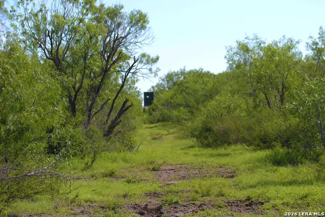 2349 CR 416 Falls City, TX 78113