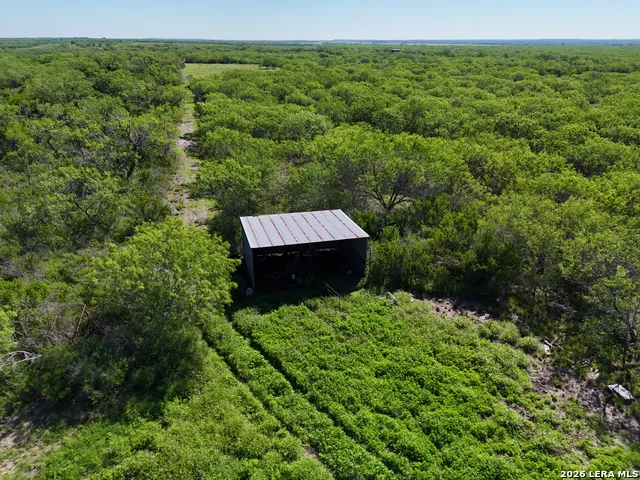 2349 CR 416 Falls City, TX 78113