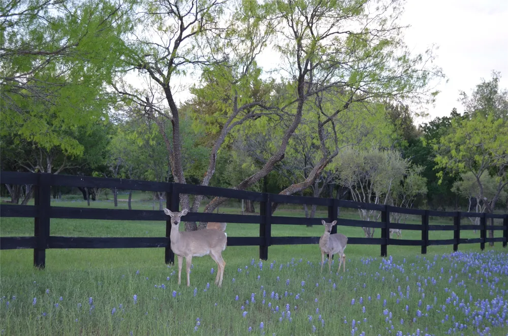 77 The Trails Parkway Horseshoe Bay, TX 78657