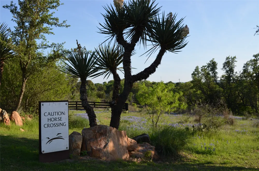 77 The Trails Parkway Horseshoe Bay, TX 78657