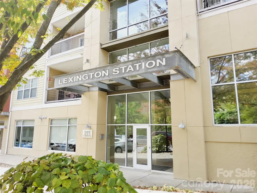 155 S Lexington Avenue #203 Asheville, NC 28801