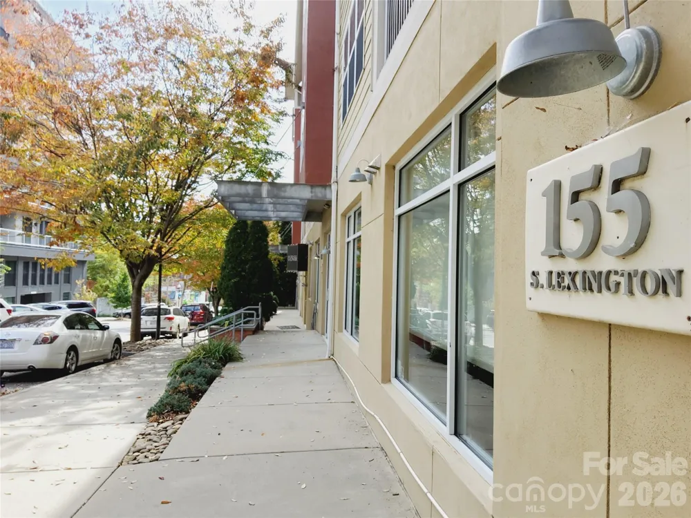 155 S Lexington Avenue #203 Asheville, NC 28801