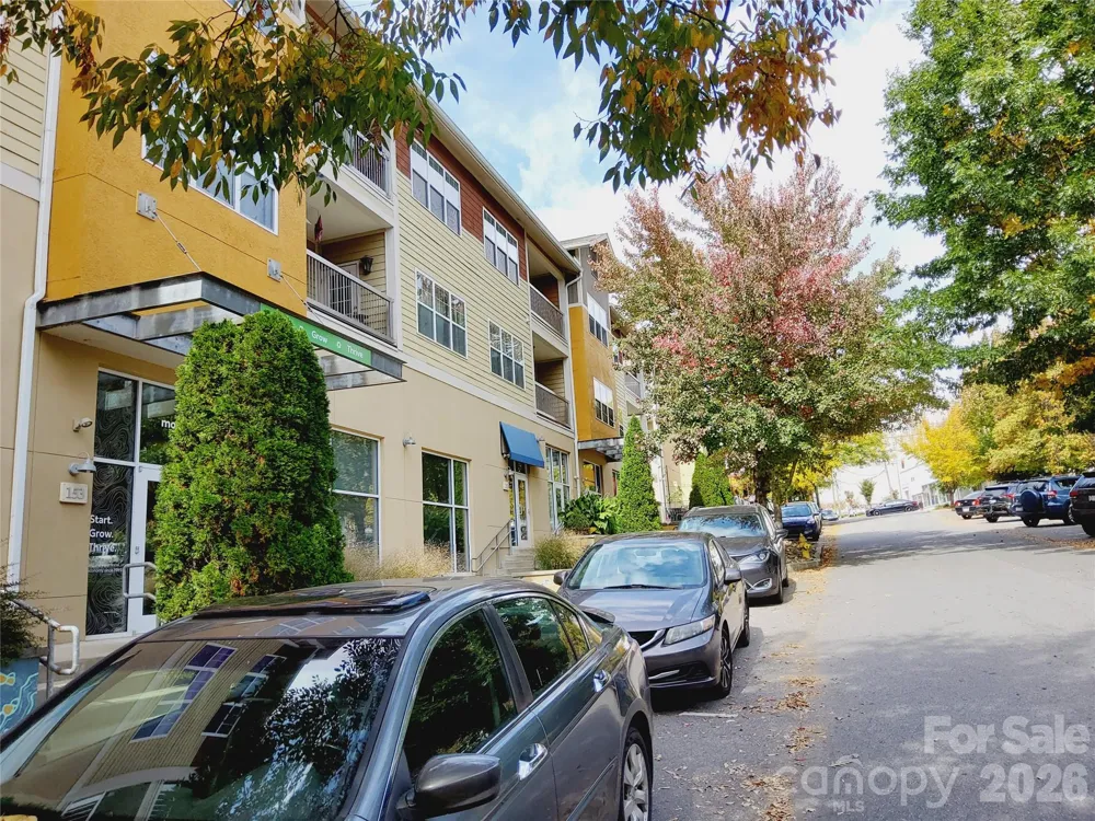 155 S Lexington Avenue #203 Asheville, NC 28801