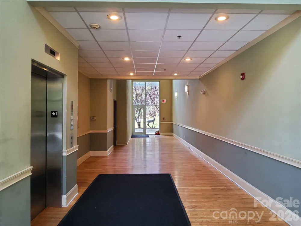 155 S Lexington Avenue #203 Asheville, NC 28801