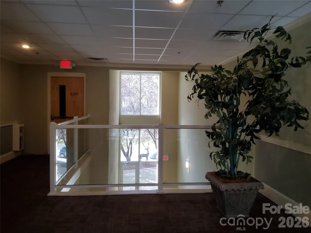 155 S Lexington Avenue #203 Asheville, NC 28801