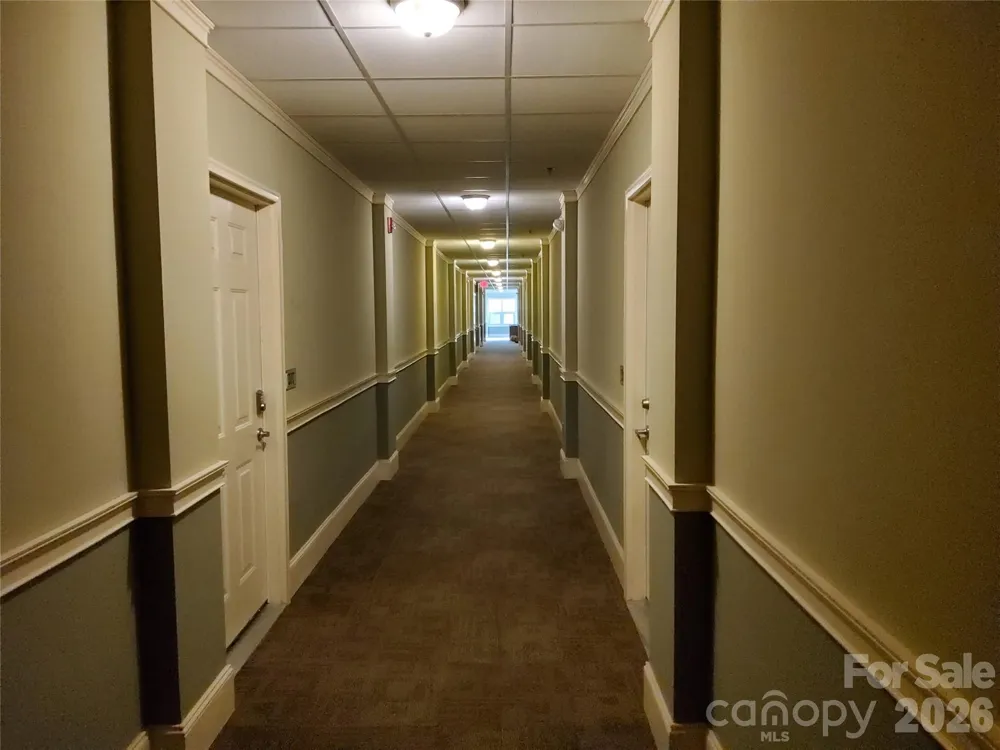 155 S Lexington Avenue #203 Asheville, NC 28801
