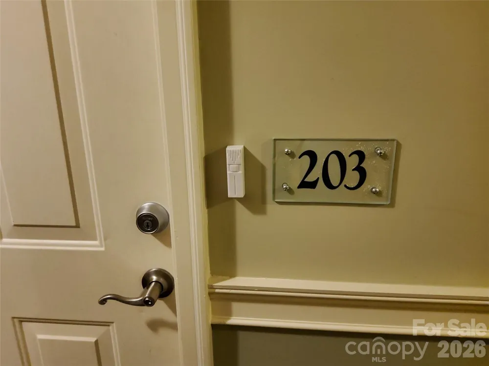 155 S Lexington Avenue #203 Asheville, NC 28801