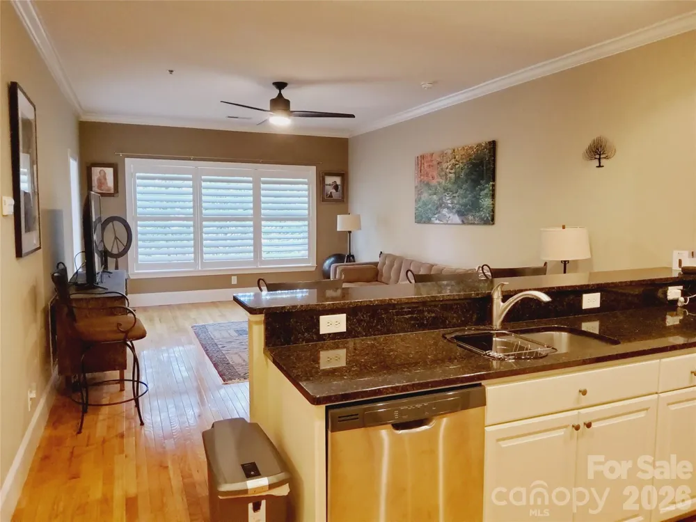 155 S Lexington Avenue #203 Asheville, NC 28801