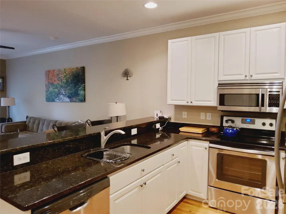155 S Lexington Avenue #203 Asheville, NC 28801