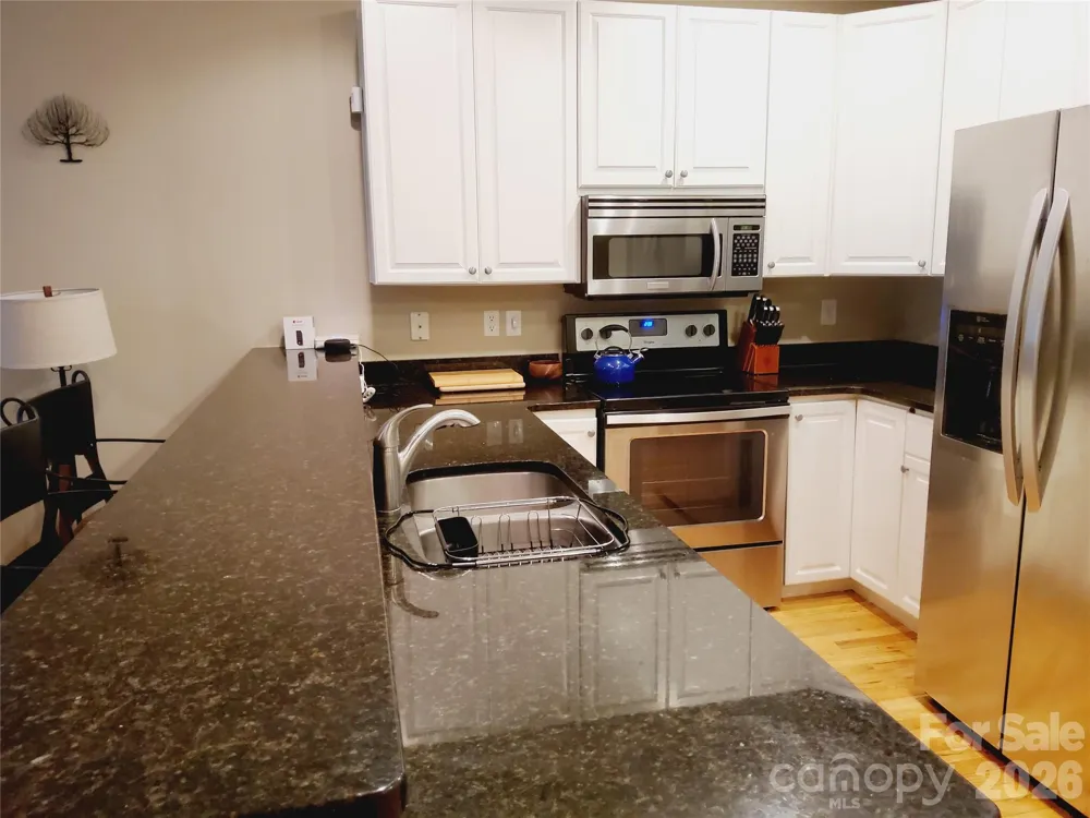 155 S Lexington Avenue #203 Asheville, NC 28801
