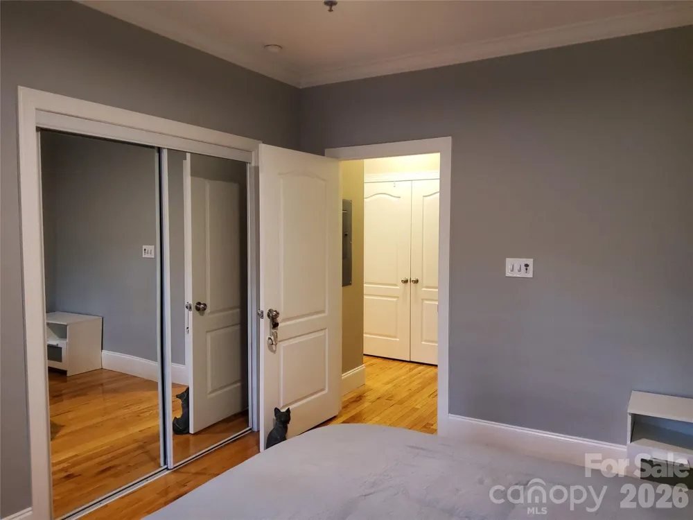 155 S Lexington Avenue #203 Asheville, NC 28801