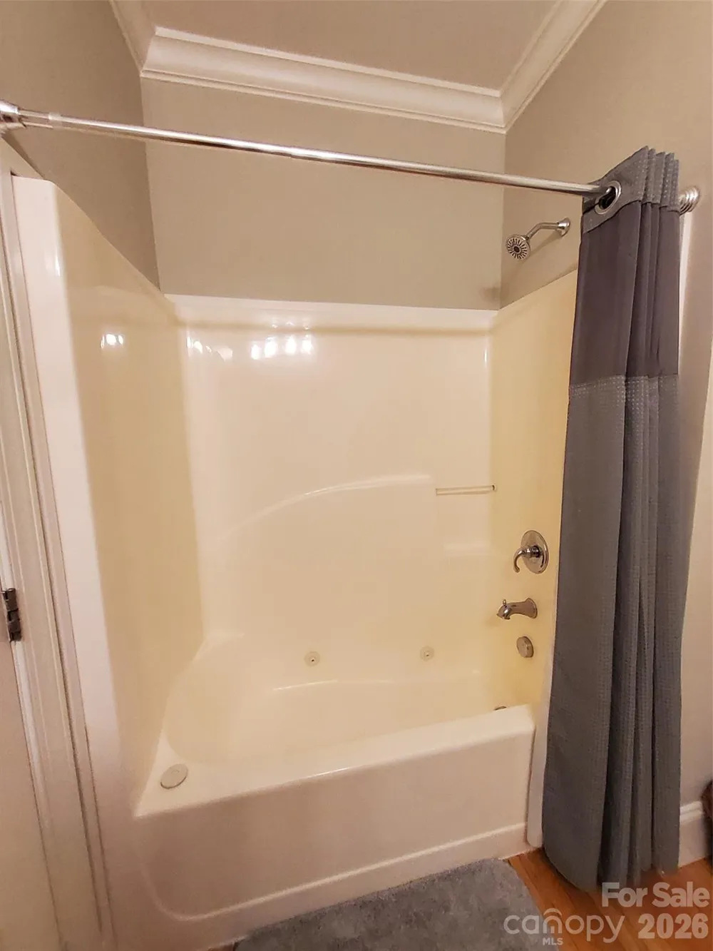 155 S Lexington Avenue #203 Asheville, NC 28801