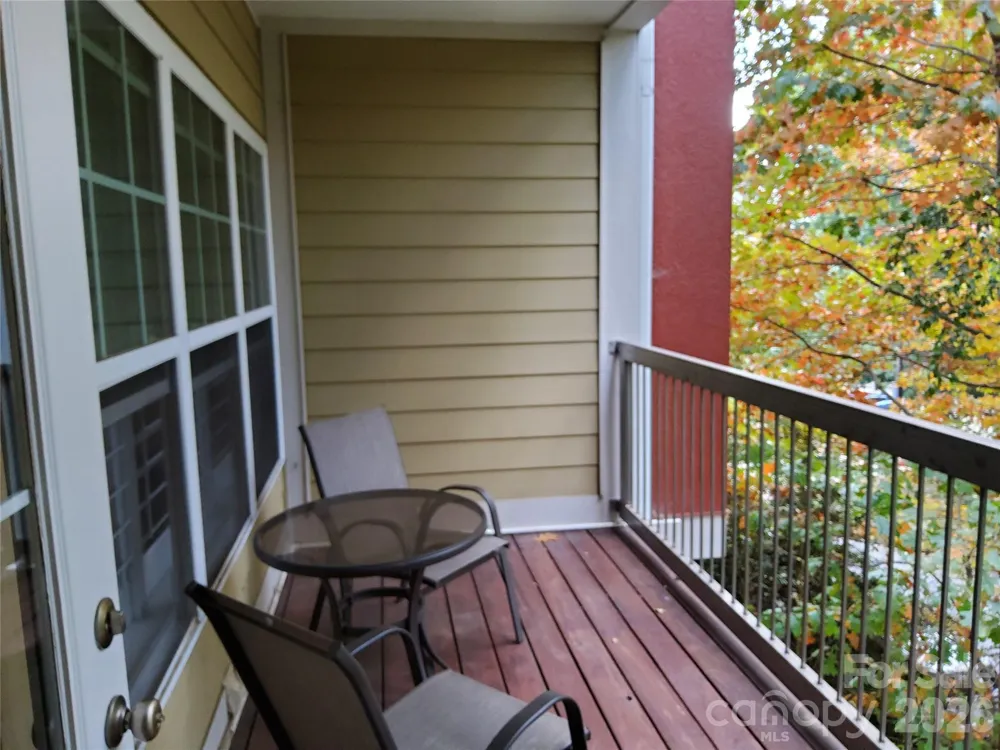 155 S Lexington Avenue #203 Asheville, NC 28801