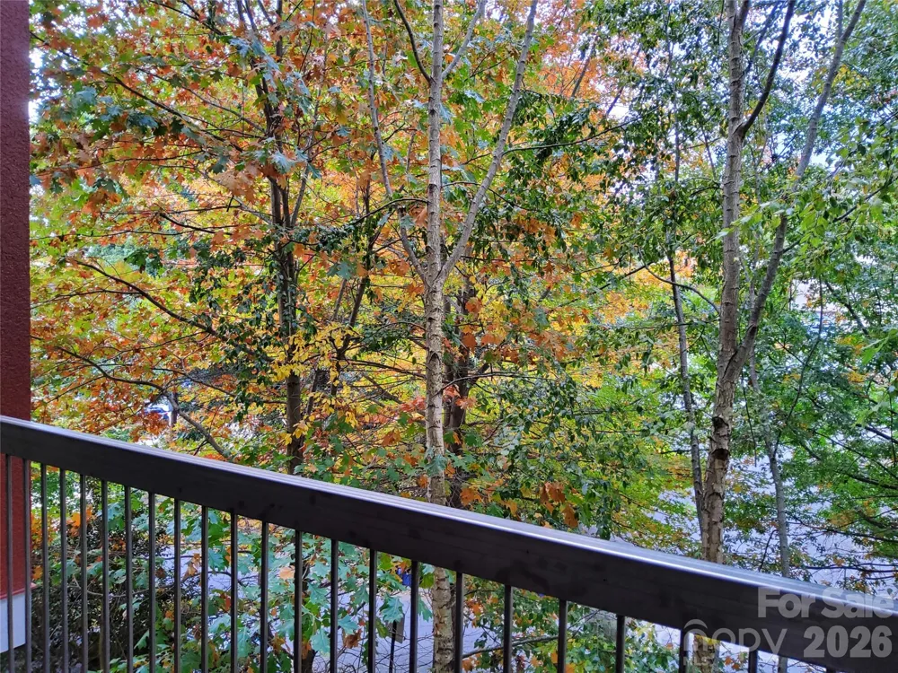 155 S Lexington Avenue #203 Asheville, NC 28801