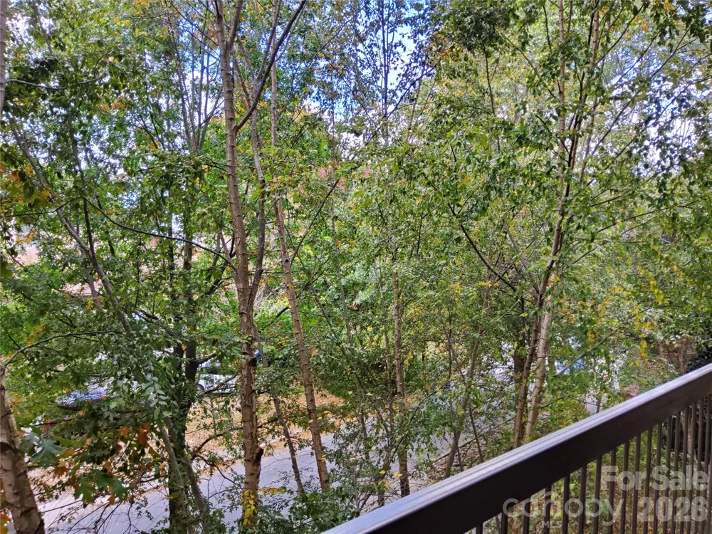 155 S Lexington Avenue #203 Asheville, NC 28801