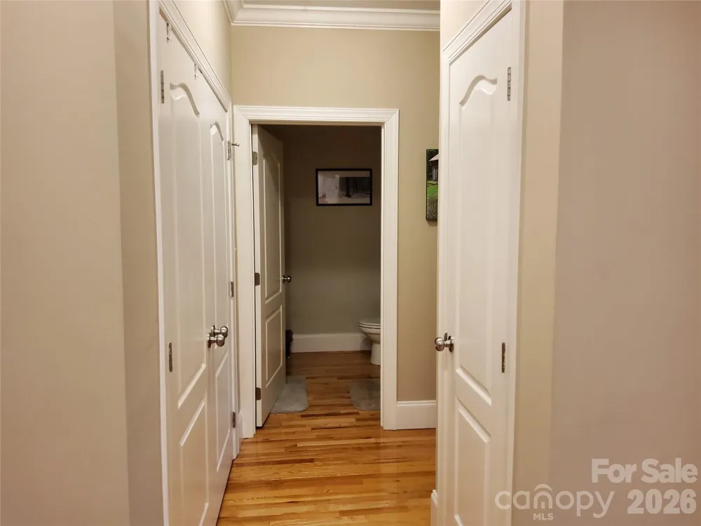 155 S Lexington Avenue #203 Asheville, NC 28801