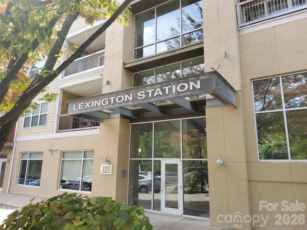 155 S Lexington Avenue #203 Asheville, NC 28801
