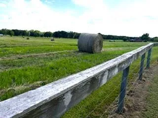 Derby Lane Madisonville, TX 77864
