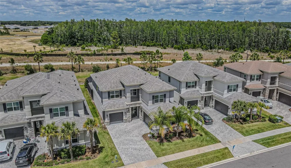 32353 ROSEWOOD MEADOW LANE Wesley Chapel, FL 33543