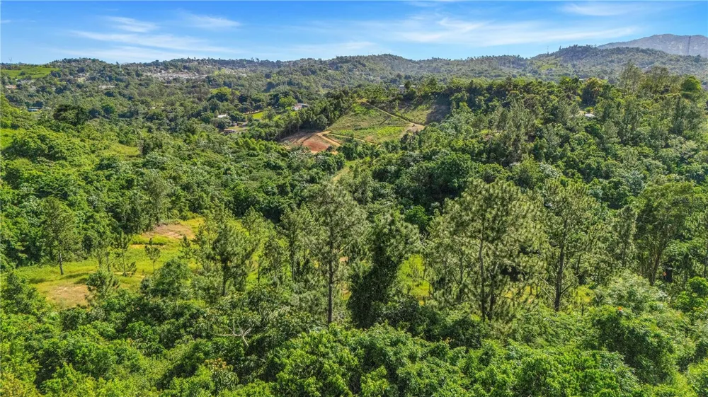 63 SECTOR MONTICELLO Cidra, PR 00739