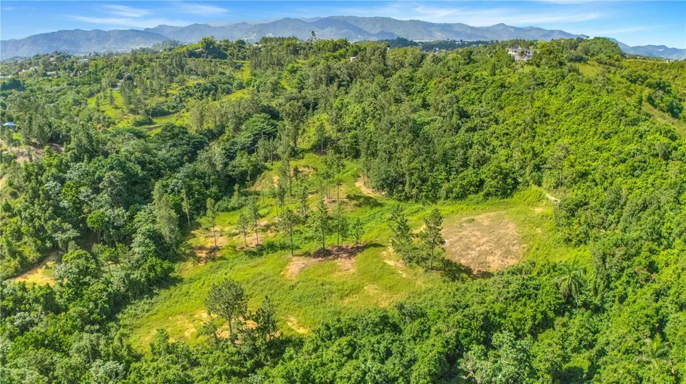 63 SECTOR MONTICELLO Cidra, PR 00739
