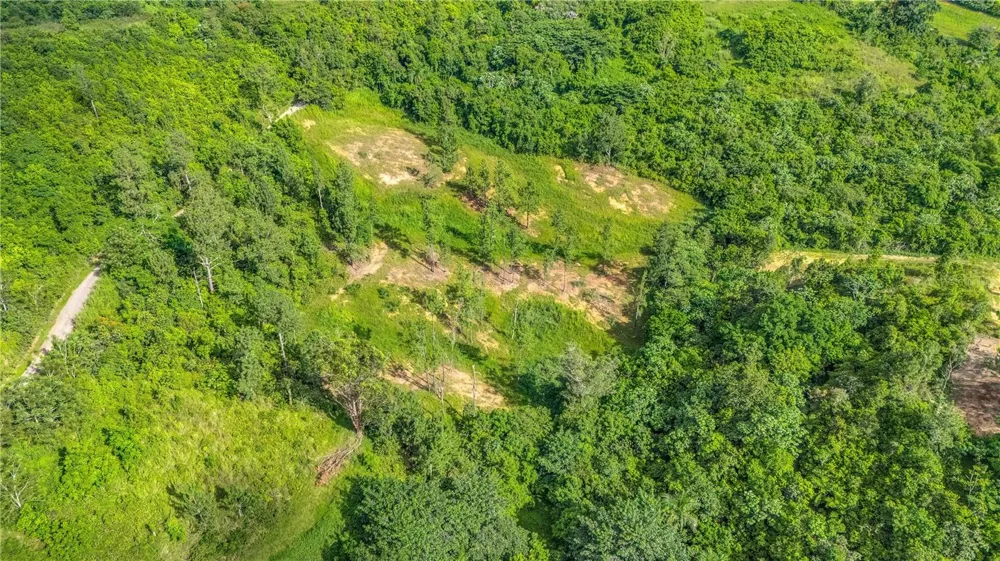 63 SECTOR MONTICELLO Cidra, PR 00739