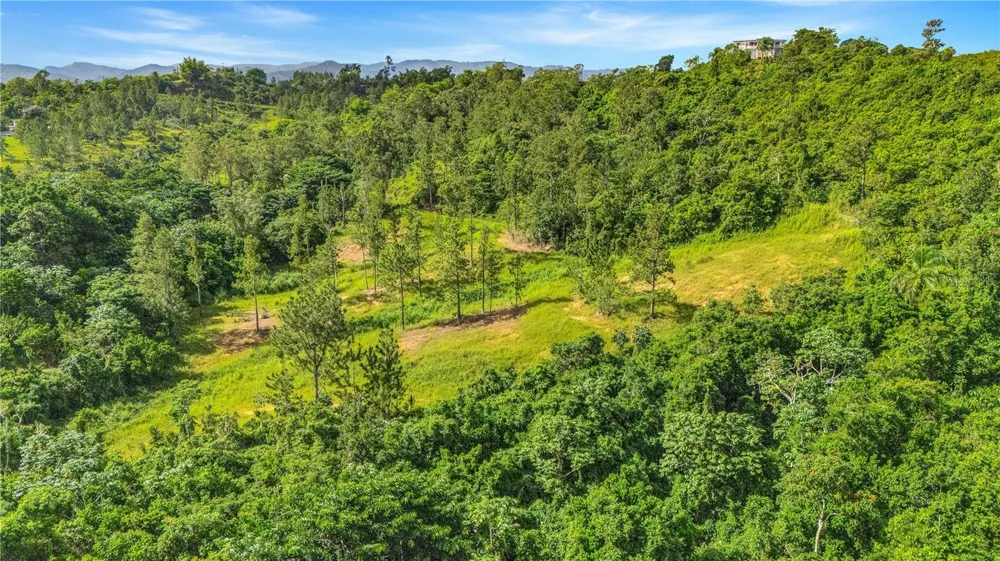 63 SECTOR MONTICELLO Cidra, PR 00739