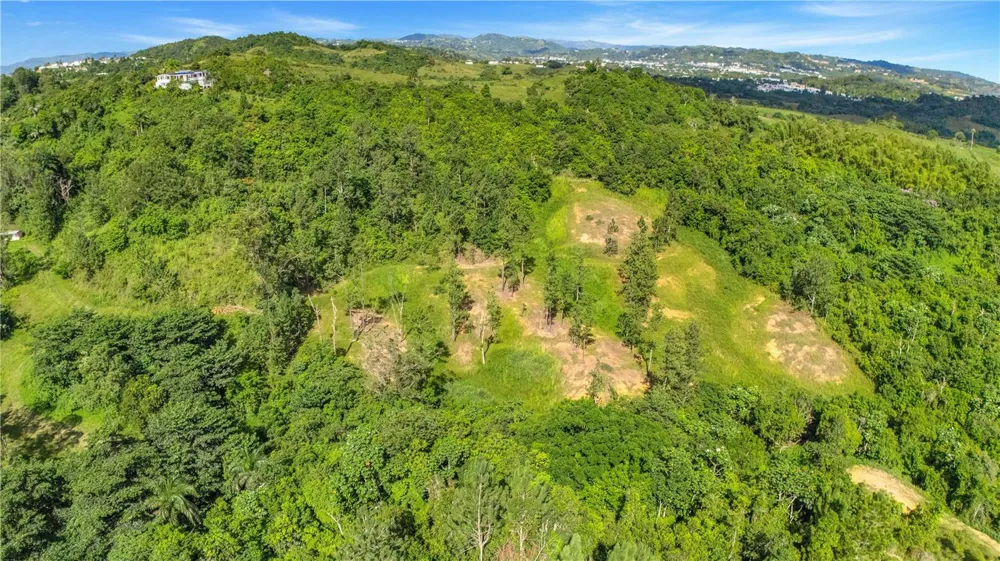 63 SECTOR MONTICELLO Cidra, PR 00739