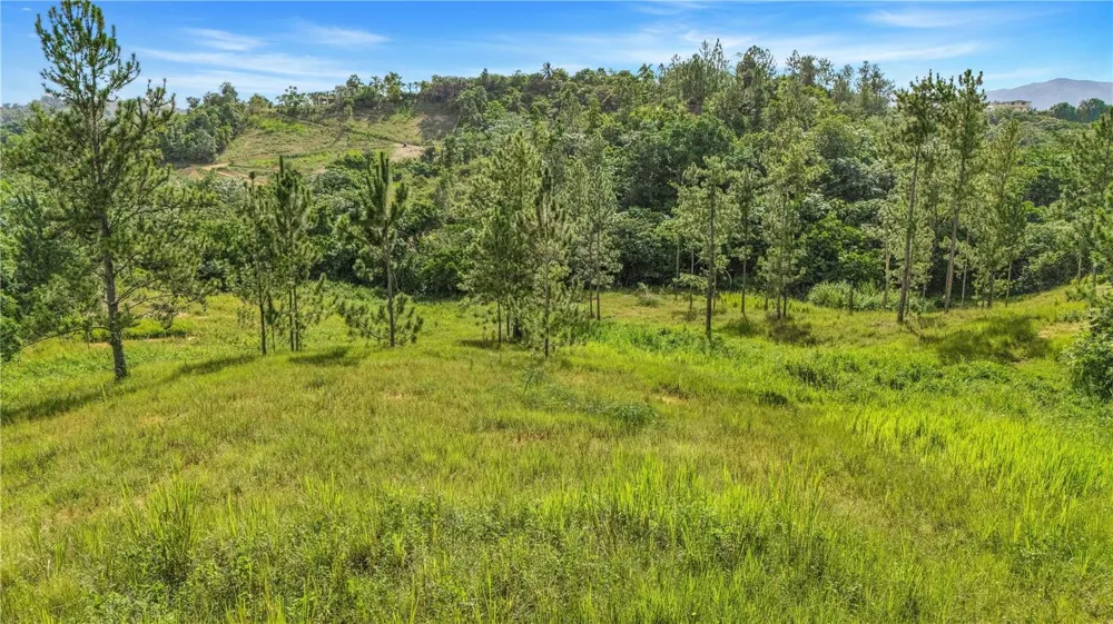 63 SECTOR MONTICELLO Cidra, PR 00739