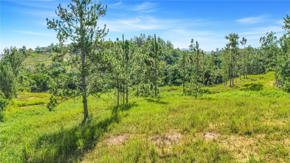 63 SECTOR MONTICELLO Cidra, PR 00739
