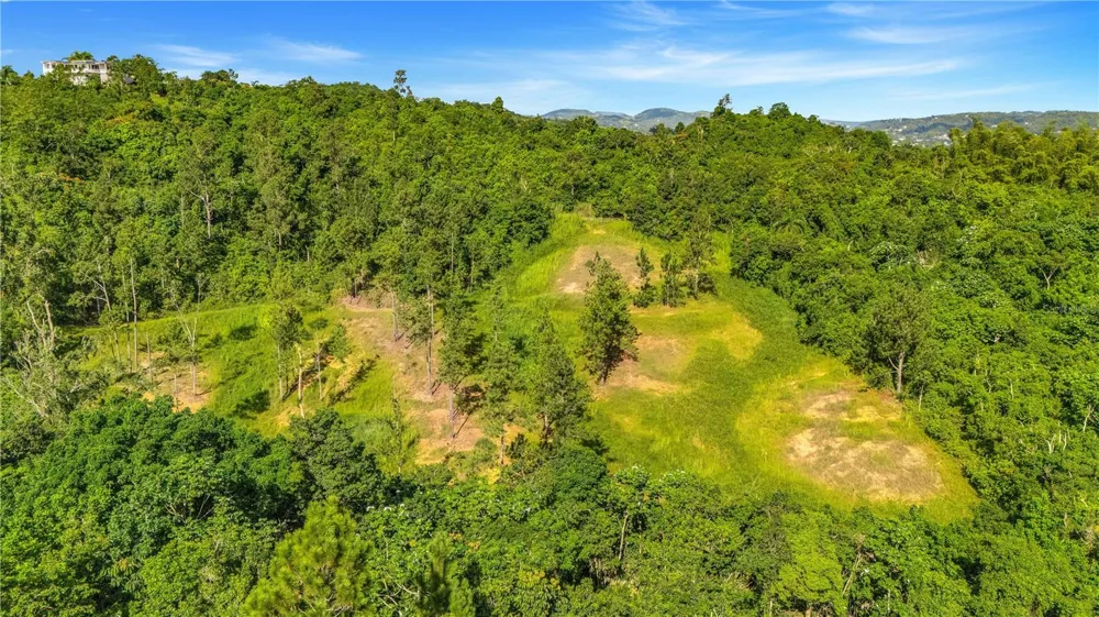 63 SECTOR MONTICELLO Cidra, PR 00739