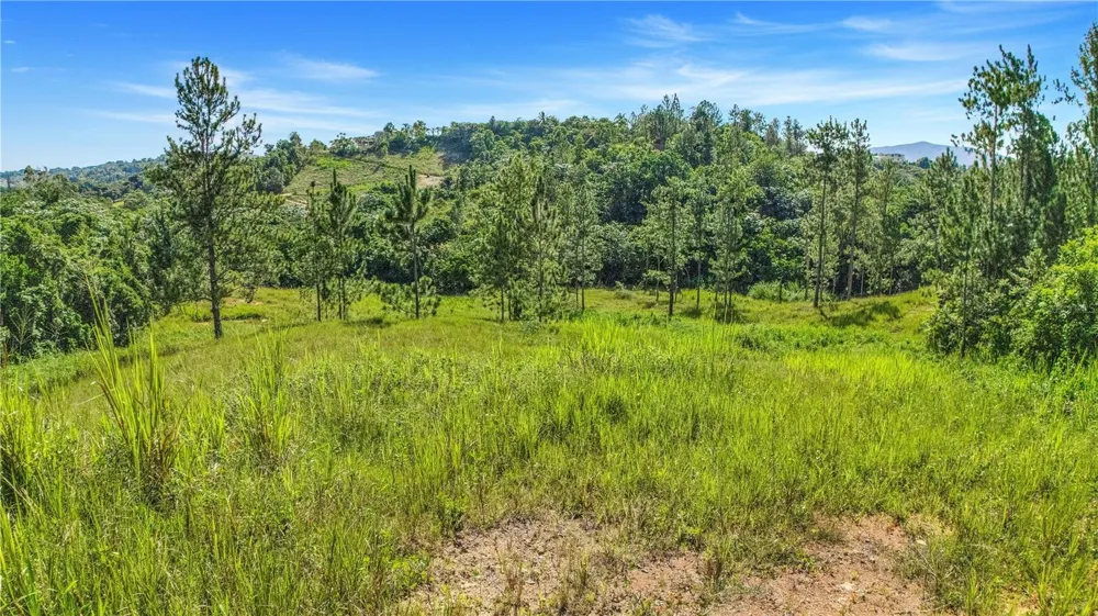 63 SECTOR MONTICELLO Cidra, PR 00739