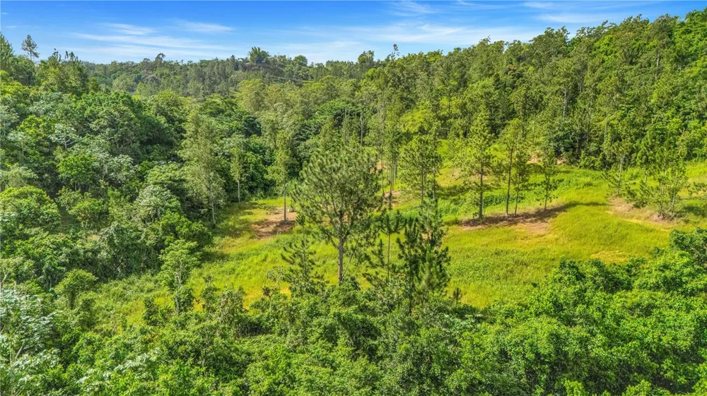 63 SECTOR MONTICELLO Cidra, PR 00739