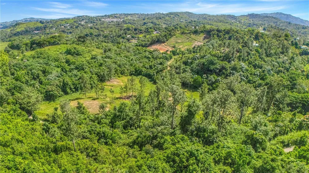 63 SECTOR MONTICELLO Cidra, PR 00739