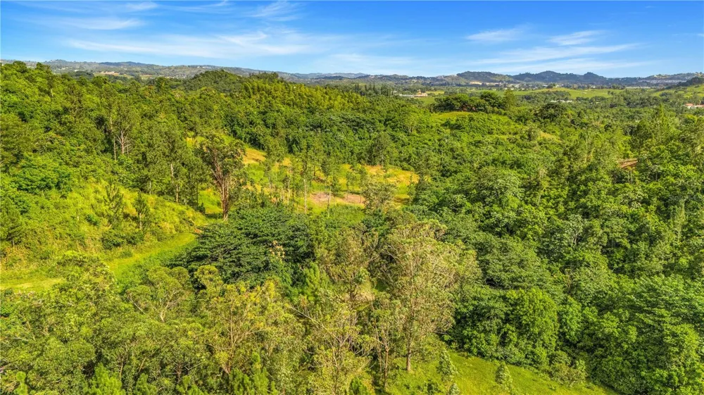 63 SECTOR MONTICELLO Cidra, PR 00739