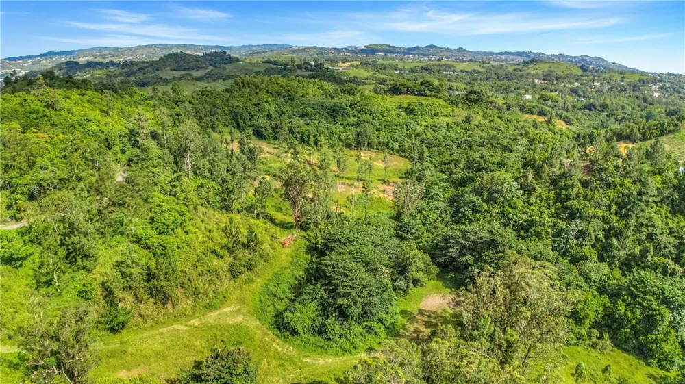 63 SECTOR MONTICELLO Cidra, PR 00739