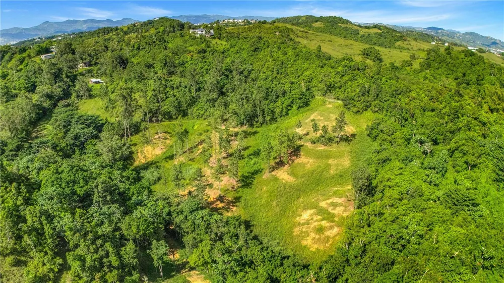 63 SECTOR MONTICELLO Cidra, PR 00739